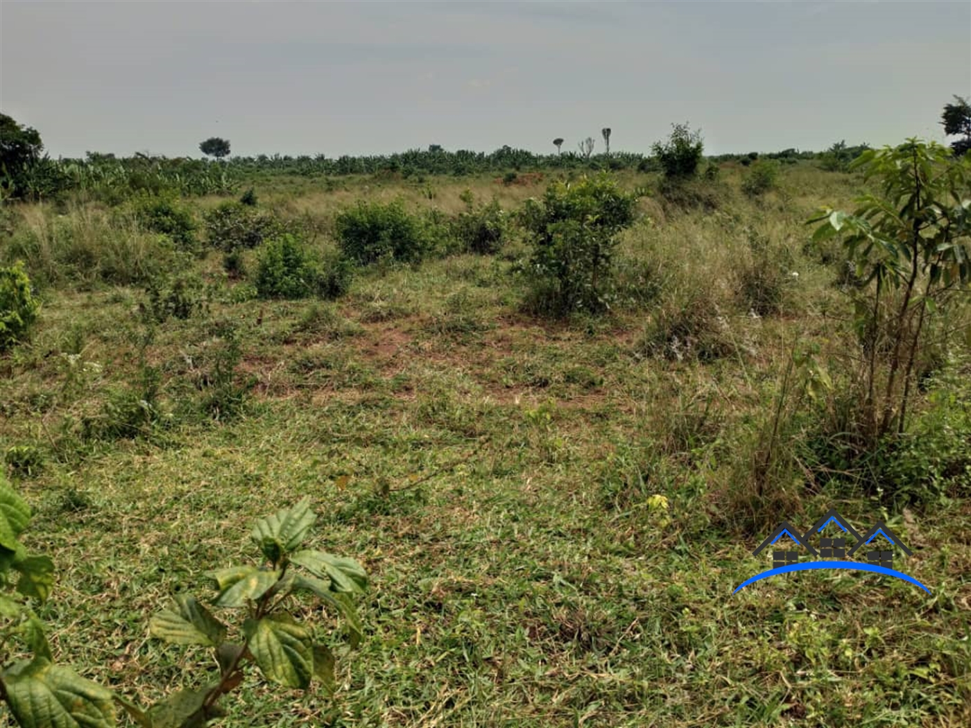 Agricultural Land for sale in Kamila Luweero