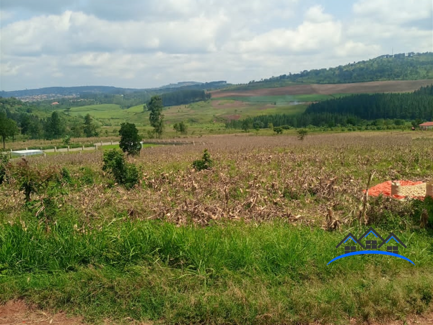 Residential Land for sale in Walusubbi Mukono