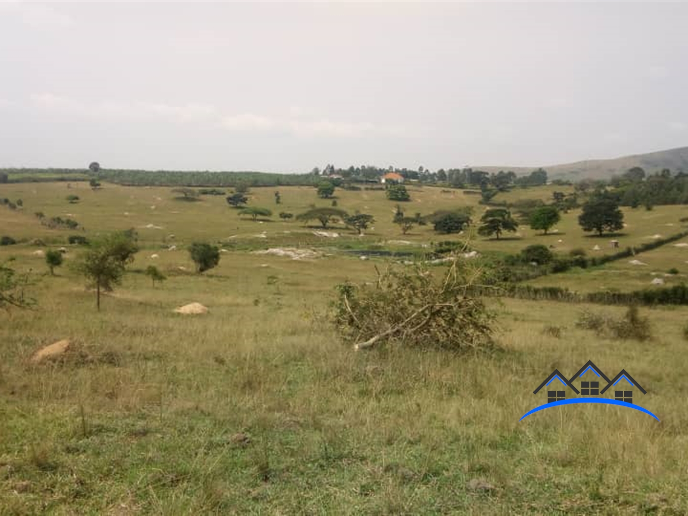 Farm for sale in Rubuya Mbarara