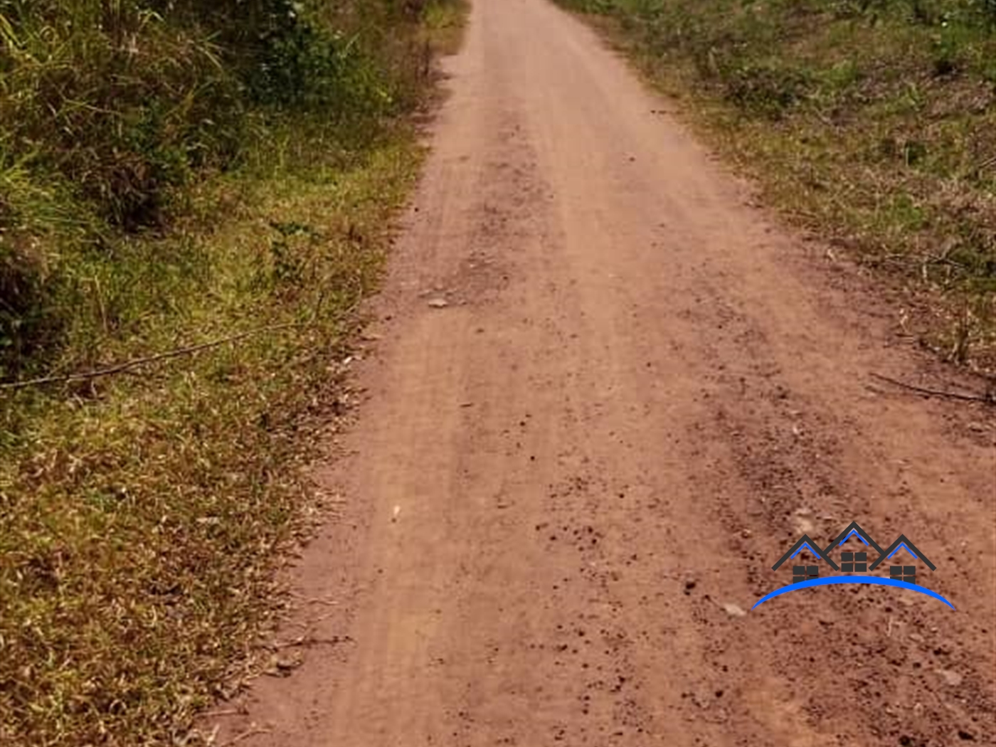 Agricultural Land for sale in Kakooge Luweero