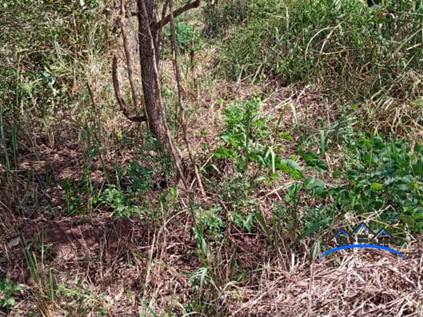 Agricultural Land for sale in Kakooge Luweero