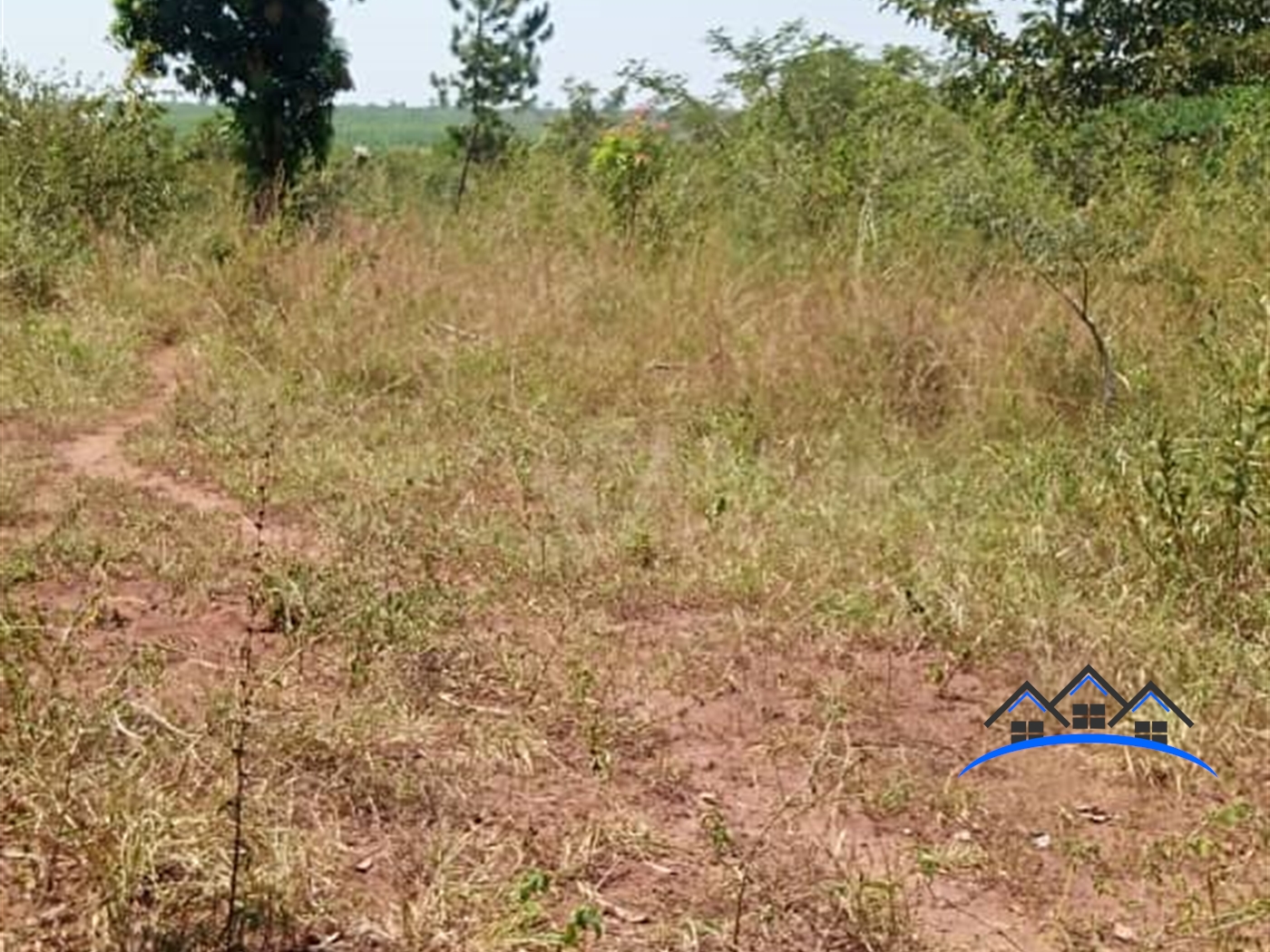 Agricultural Land for sale in Kakooge Luweero