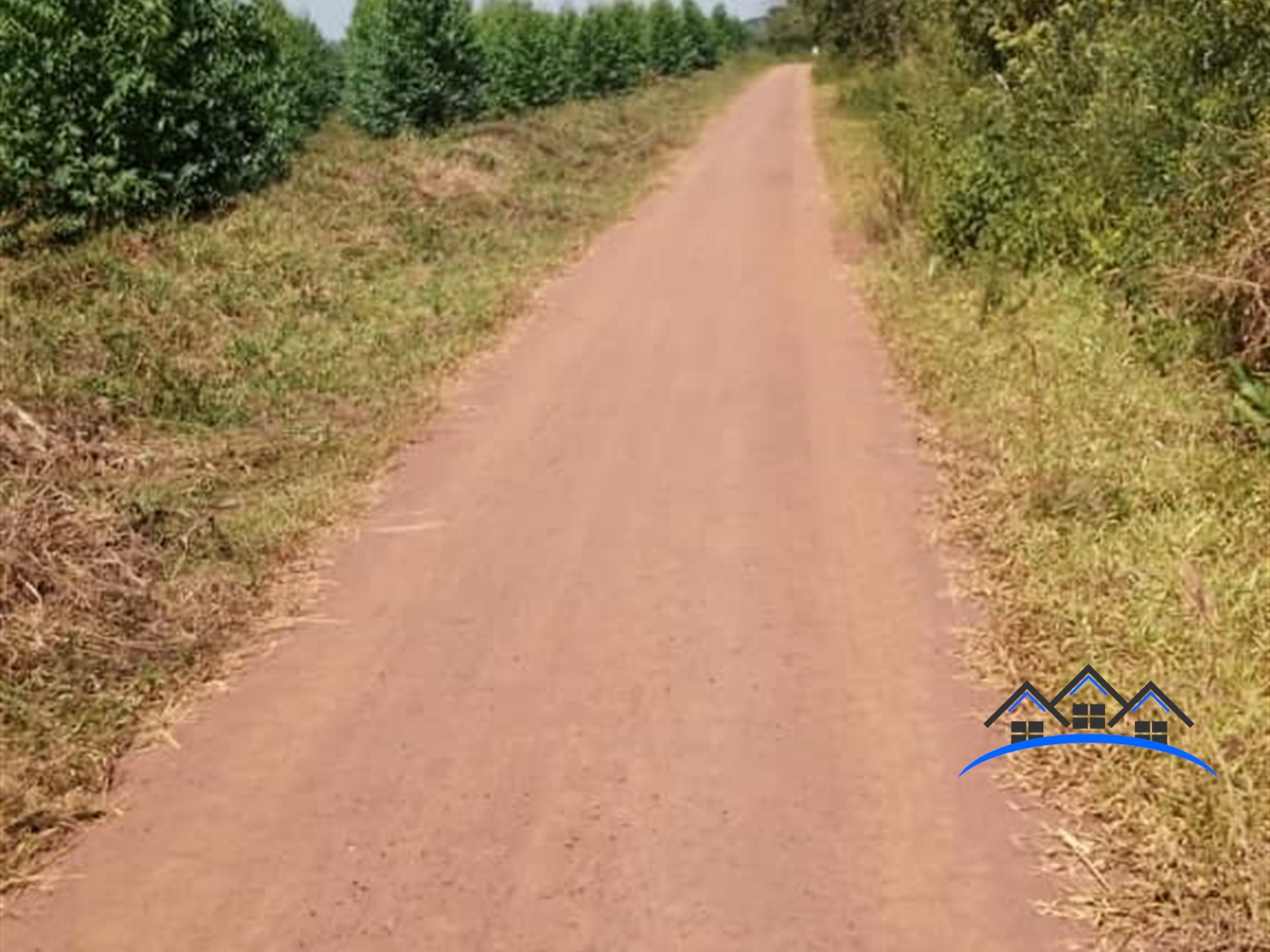 Agricultural Land for sale in Kakooge Luweero