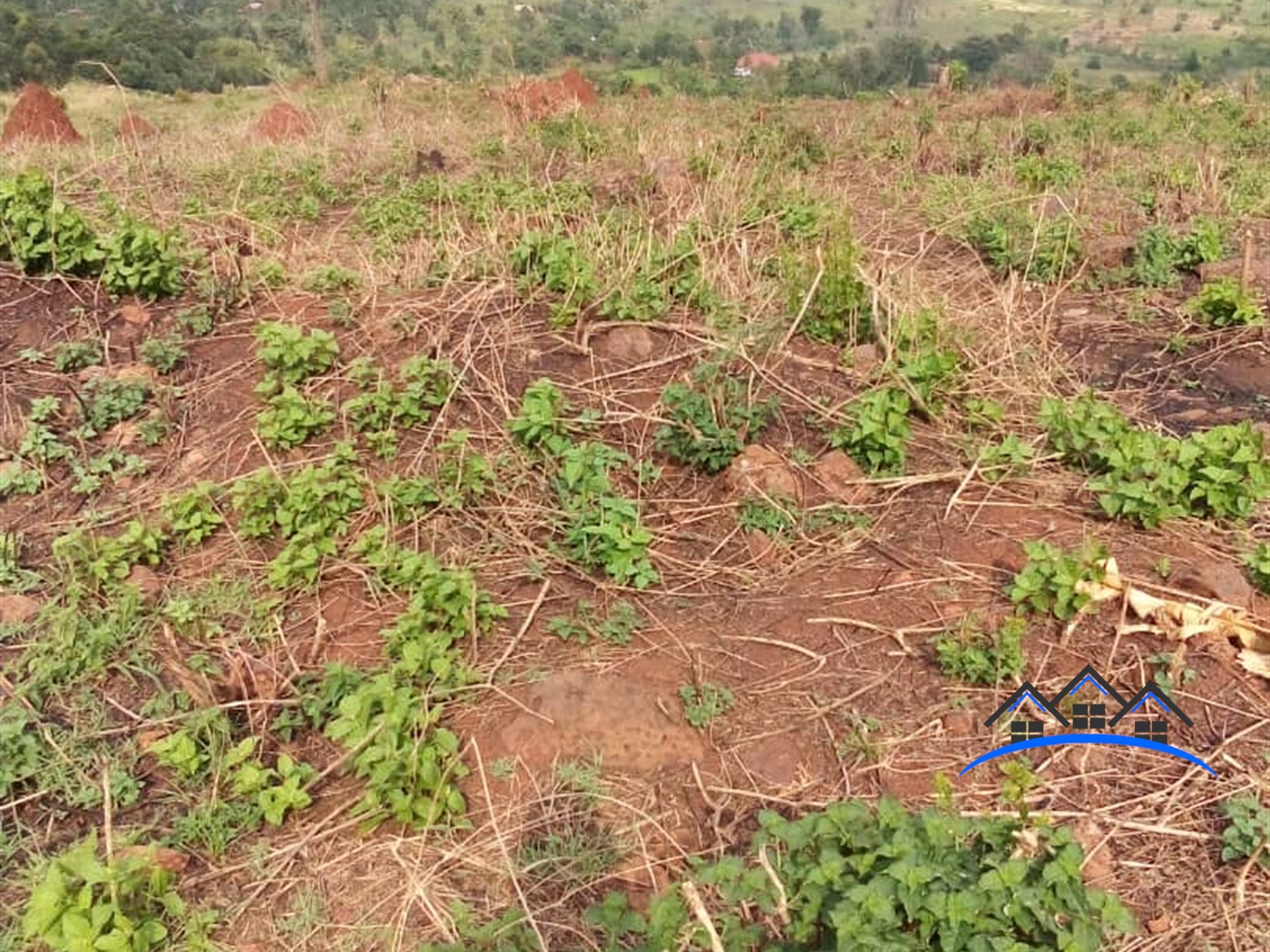 Agricultural Land for sale in Namataba Mukono