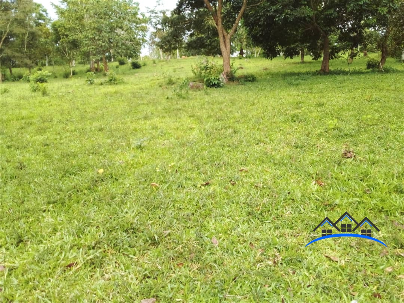 Agricultural Land for sale in Ndejje Luweero