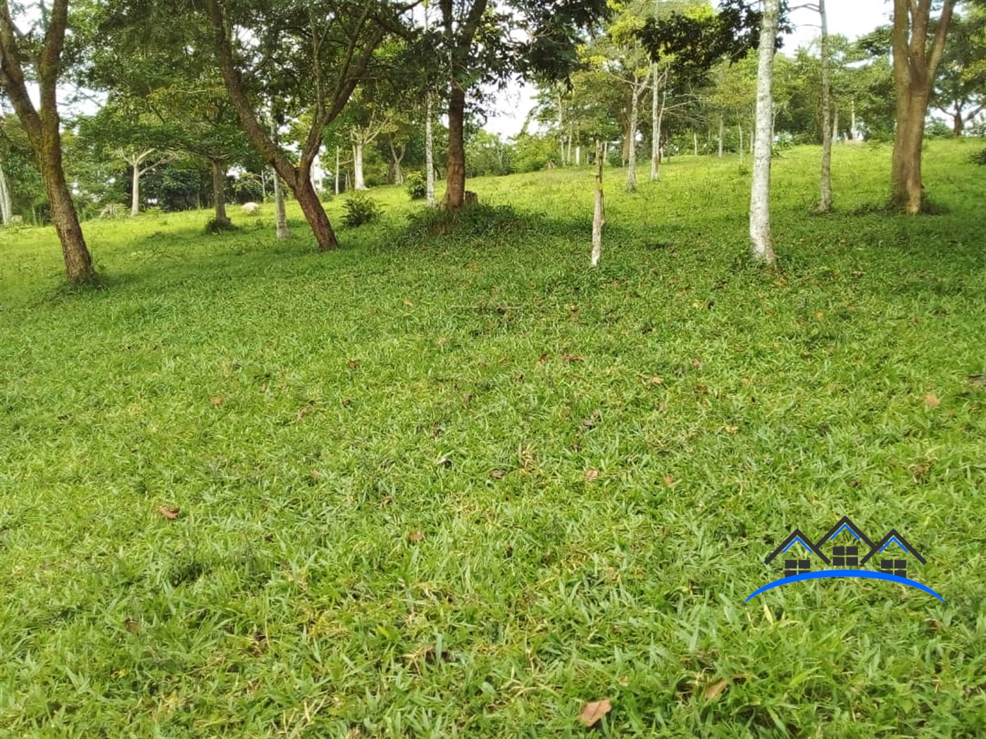 Agricultural Land for sale in Ndejje Luweero