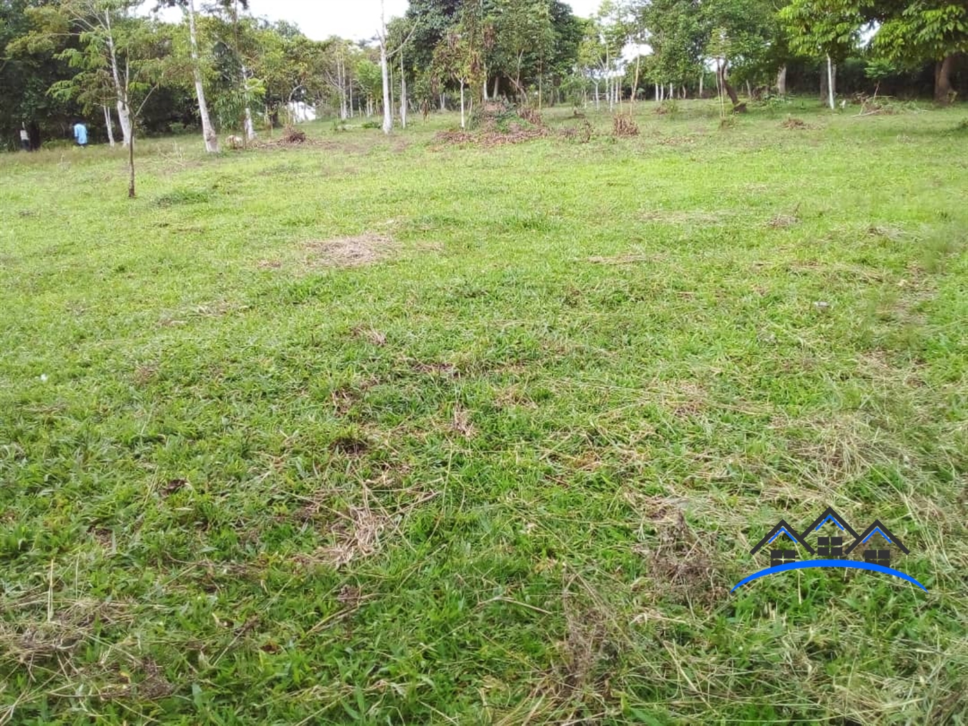 Agricultural Land for sale in Ndejje Luweero