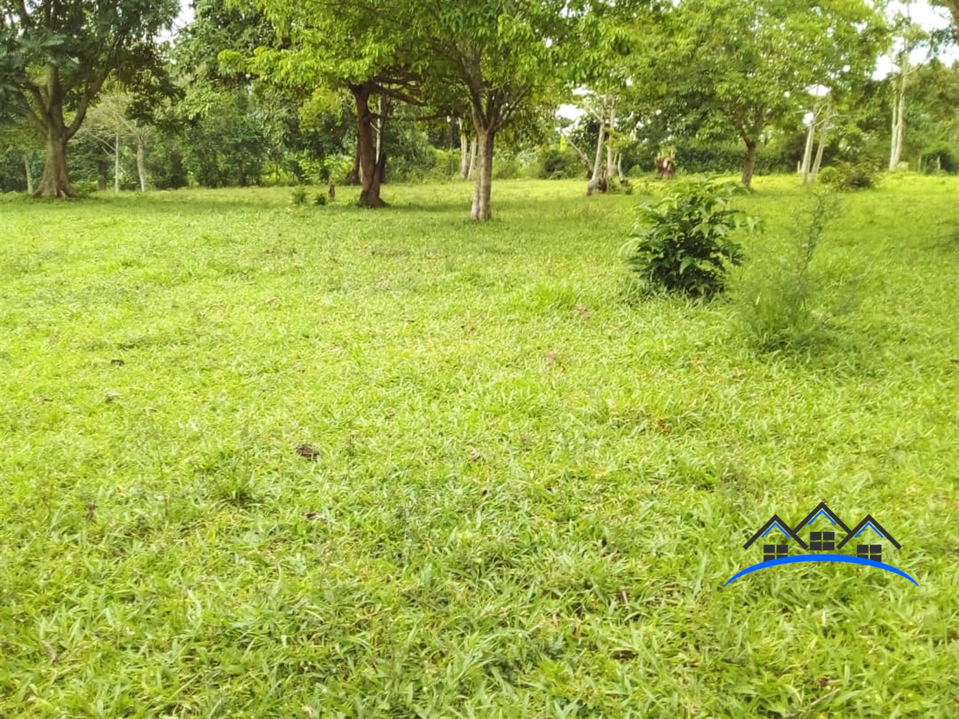 Agricultural Land for sale in Ndejje Luweero