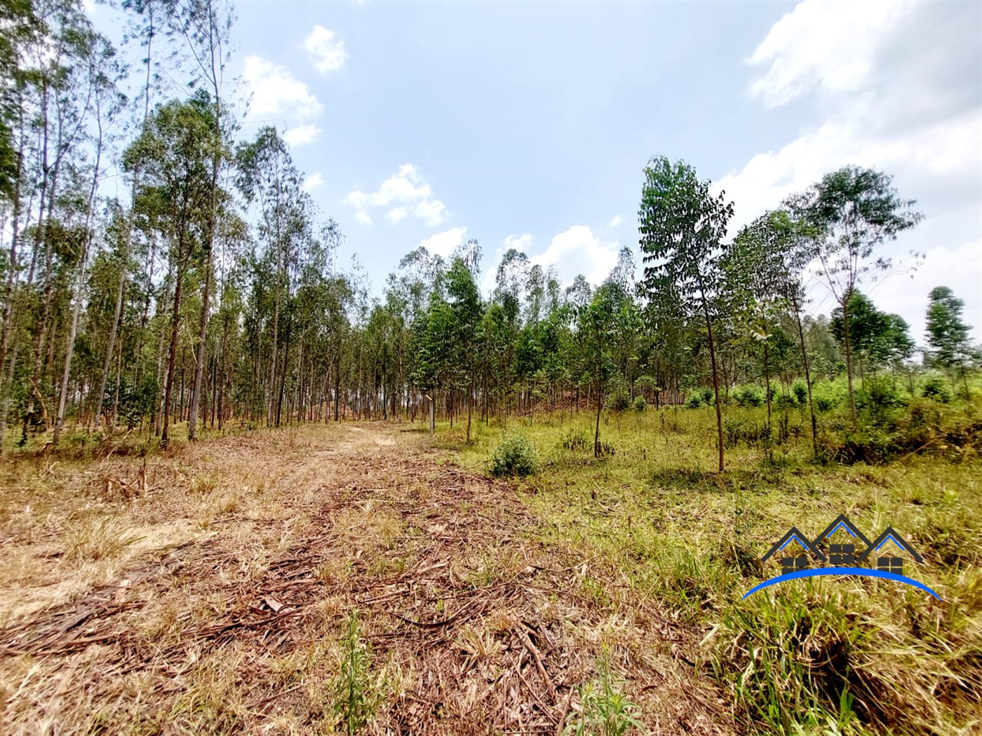 Commercial Land for sale in Ziloobwe Luweero