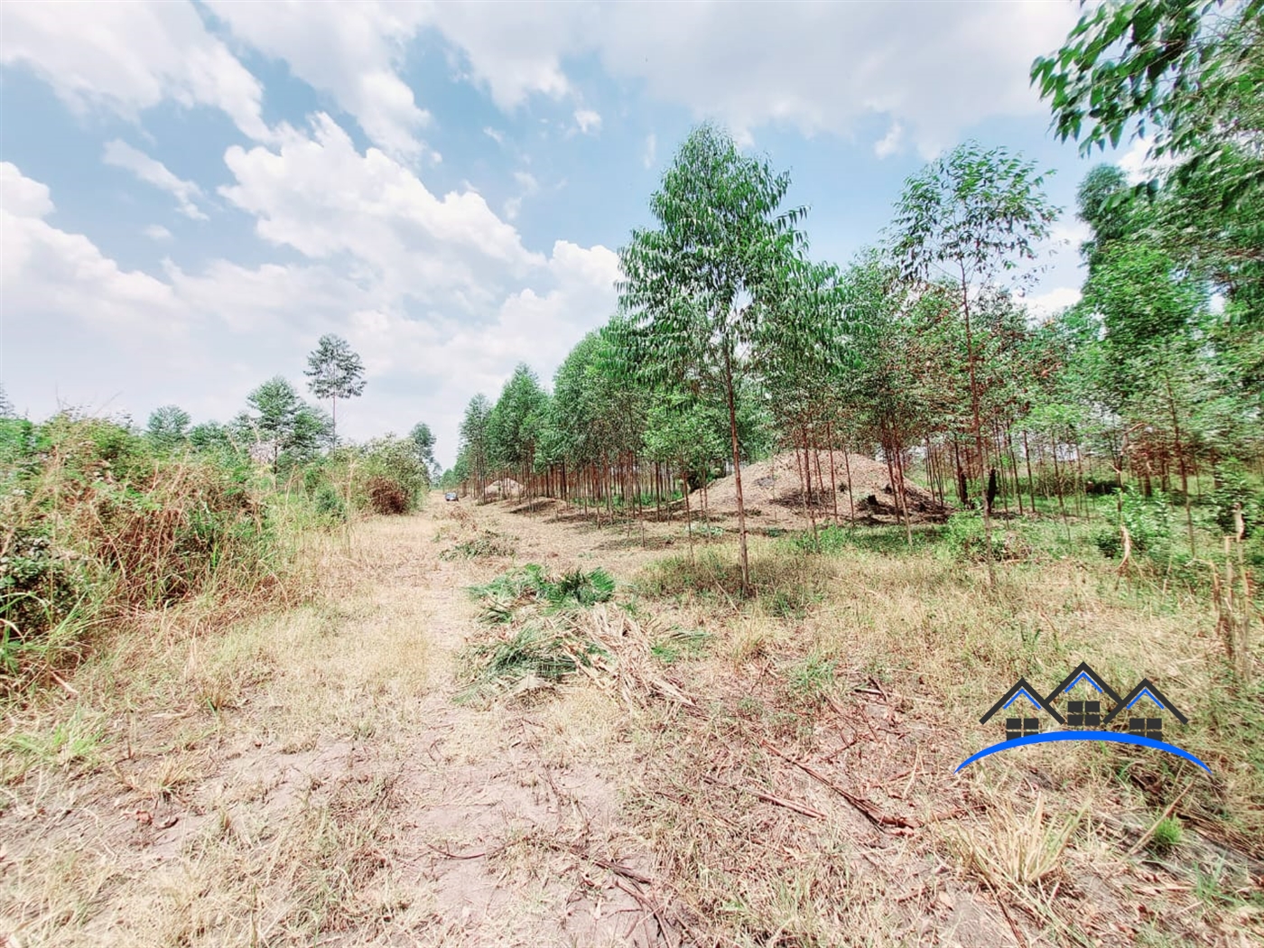 Commercial Land for sale in Ziloobwe Luweero