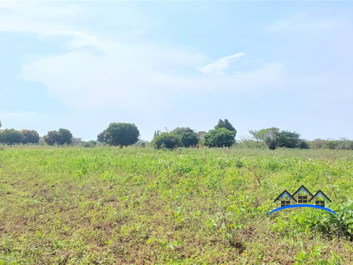 Agricultural Land for sale in Kikyuusa Luweero