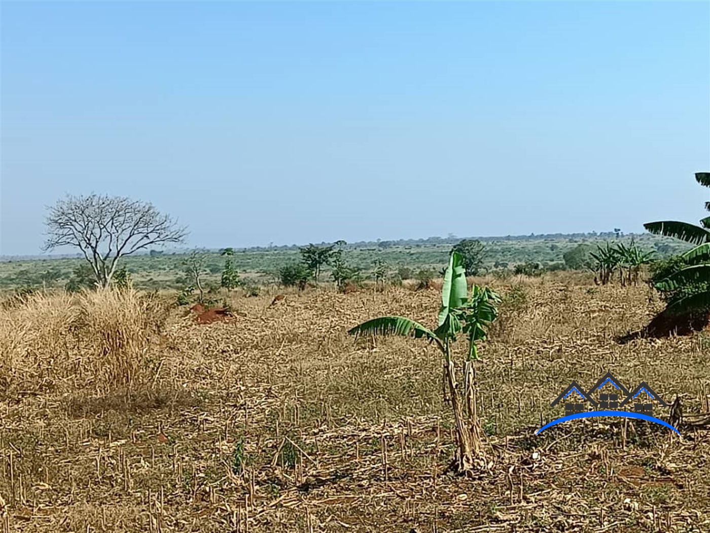 Agricultural Land for sale in Bunyoro Kiryandongo