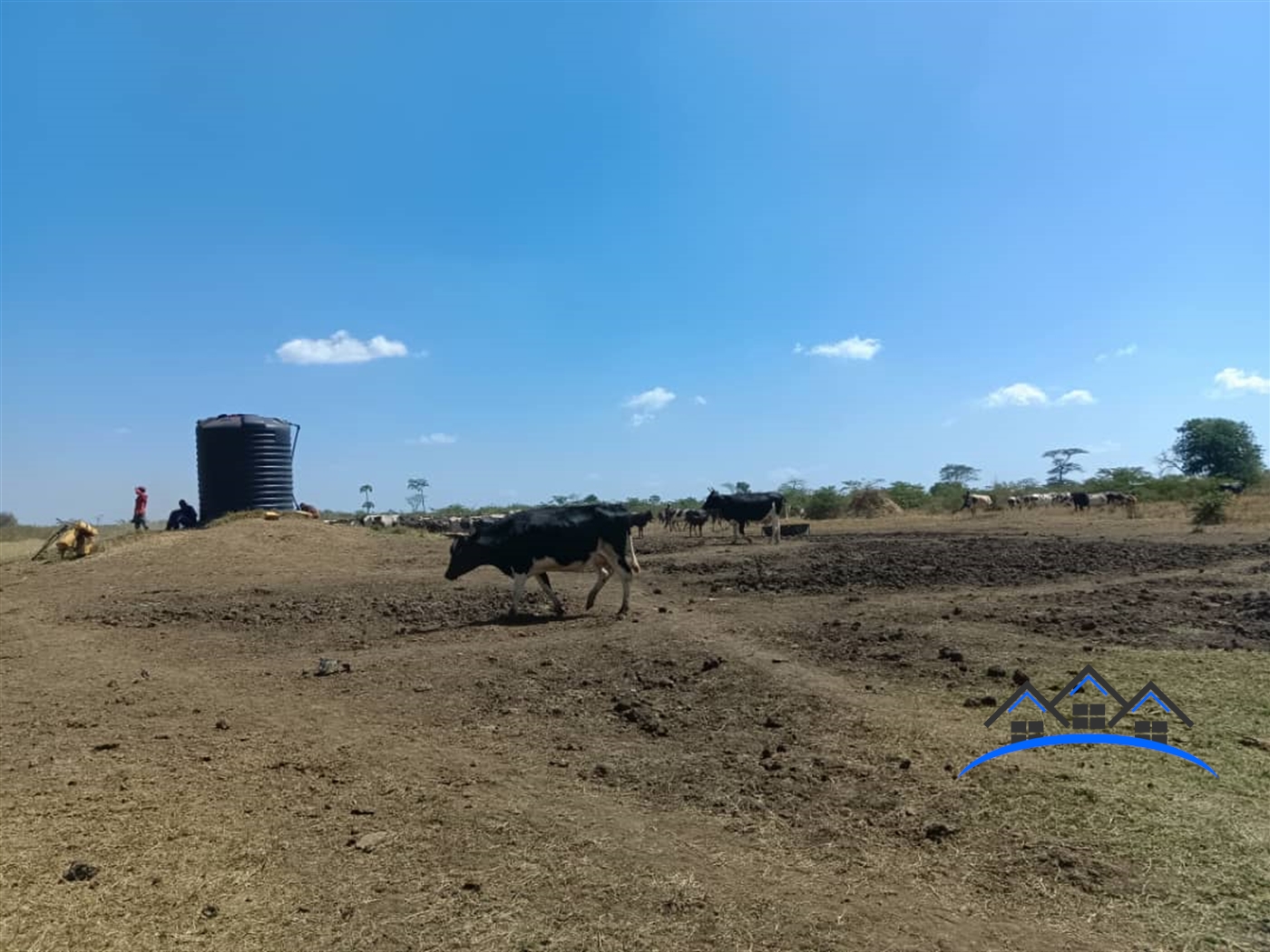 Agricultural Land for sale in Bunyoro Kiryandongo