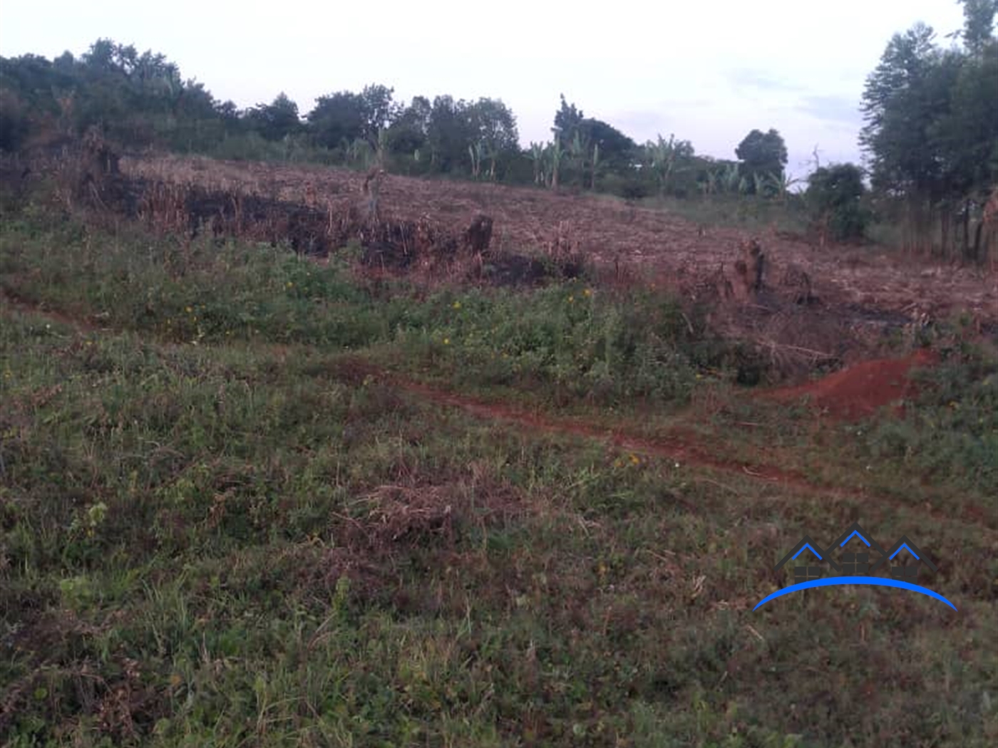 Agricultural Land for sale in Lugazi Buyikwe