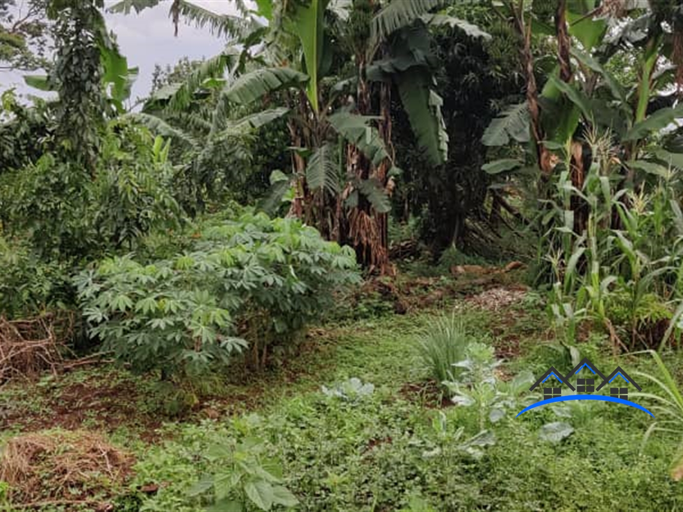 Residential Land for sale in Mutundwe Wakiso