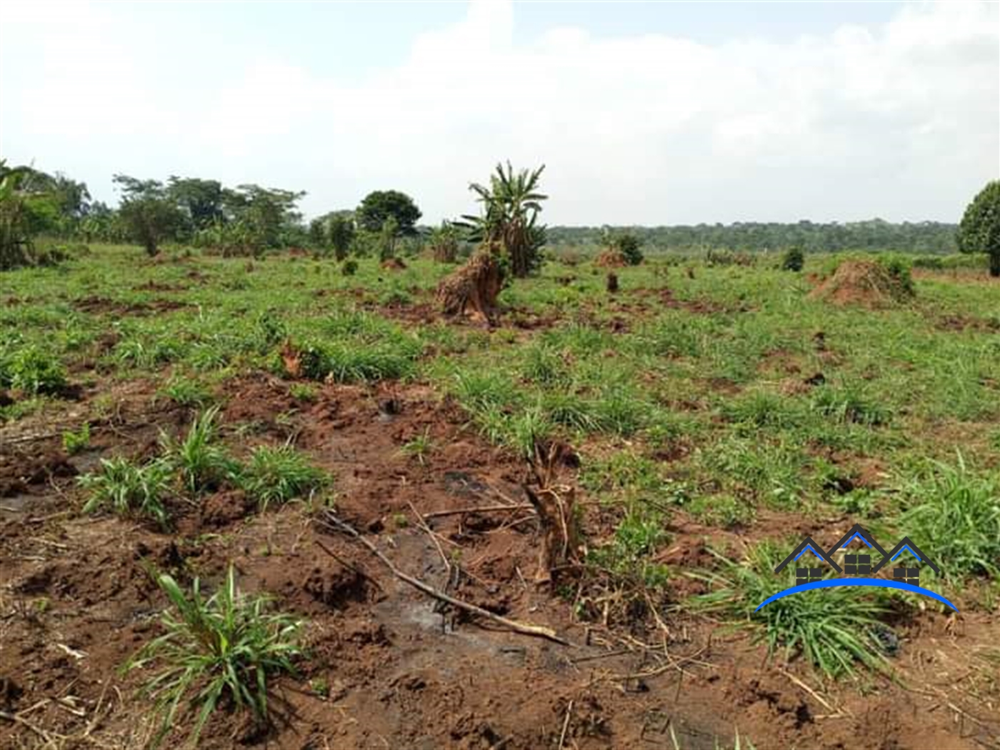 Agricultural Land for sale in Kikyuusa Luweero