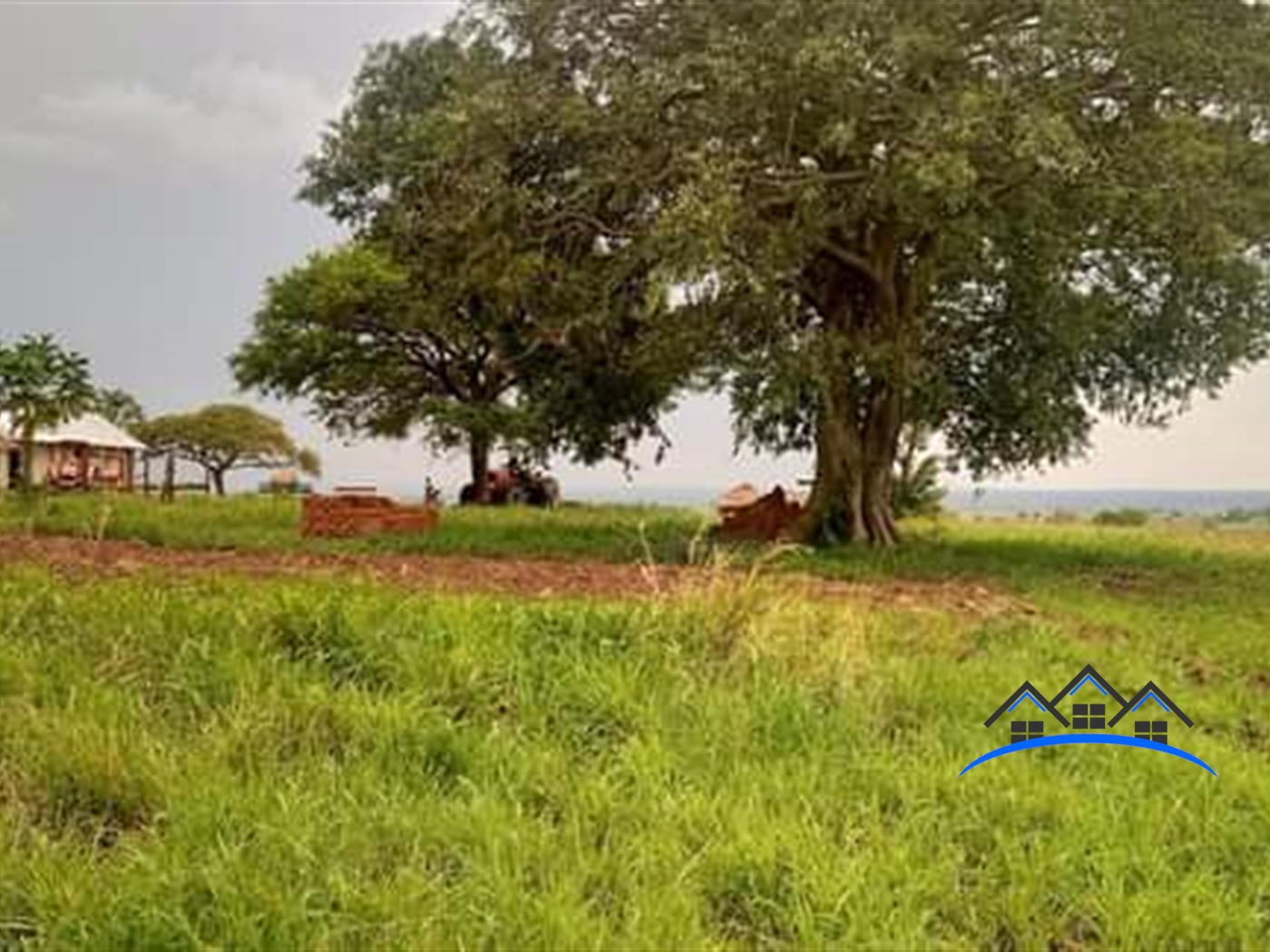 Agricultural Land for sale in Purungo Nwoya