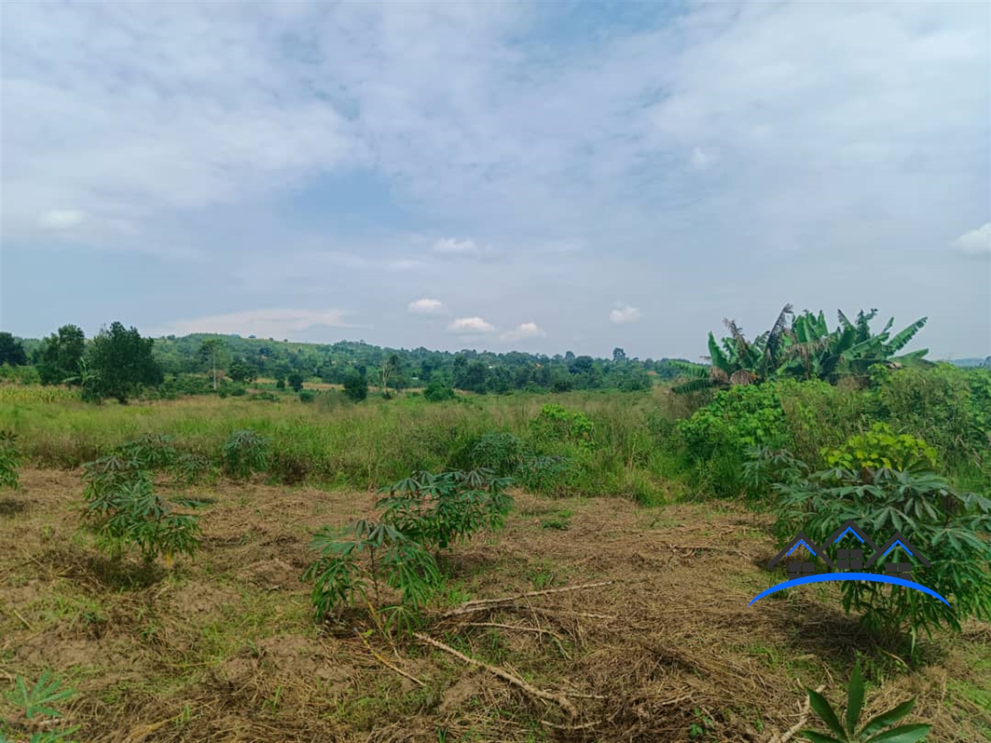 Commercial Land for sale in Kikonge Mityana