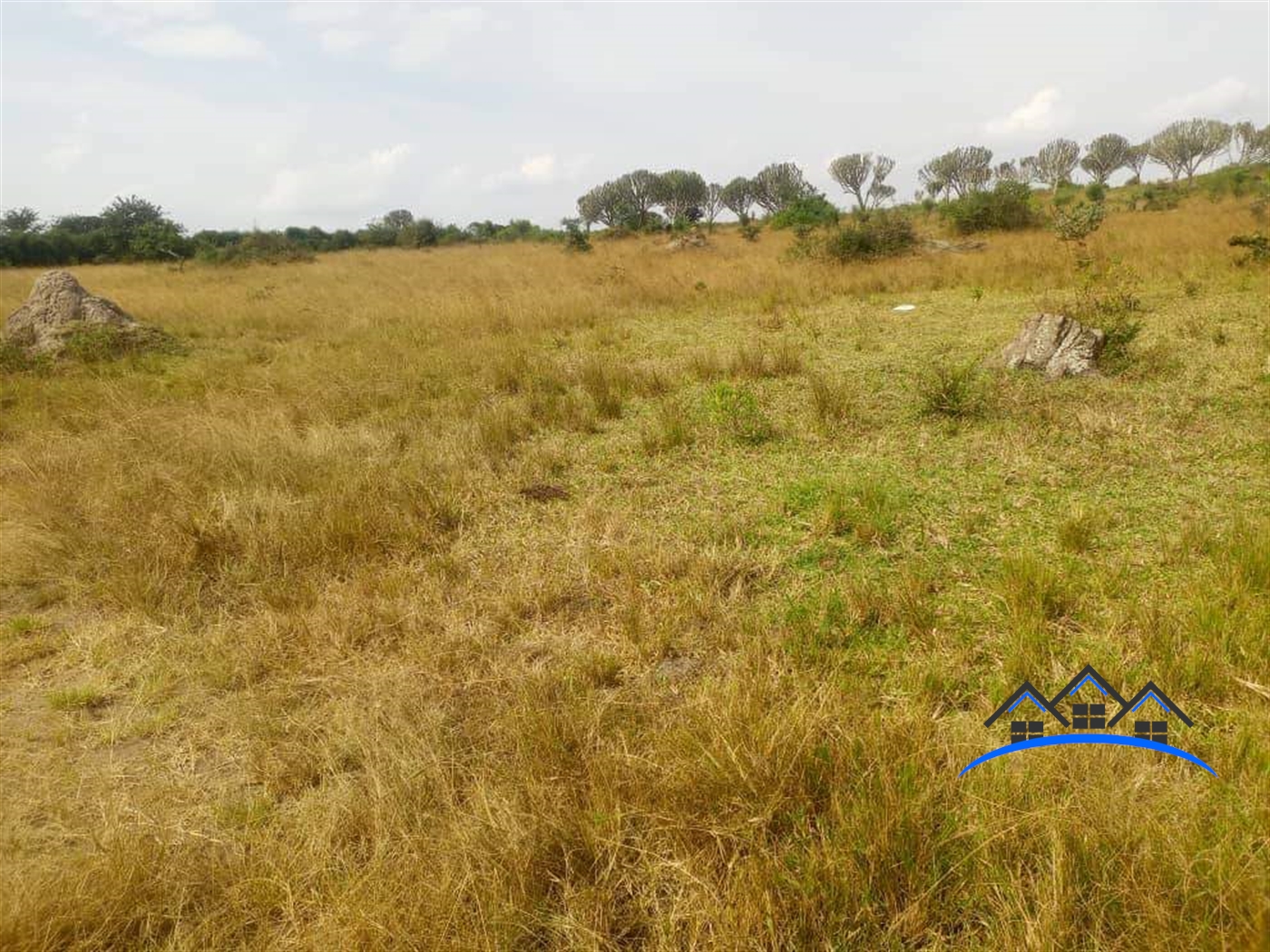 Agricultural Land for sale in Akageti Mbarara