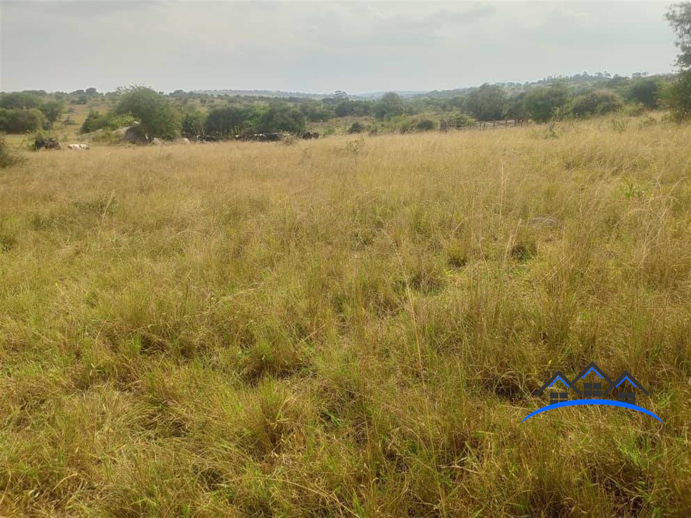 Agricultural Land for sale in Akageti Mbarara