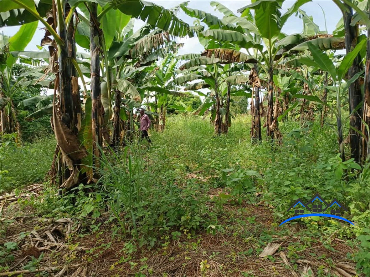 Commercial Land for sale in Kalule Wakiso