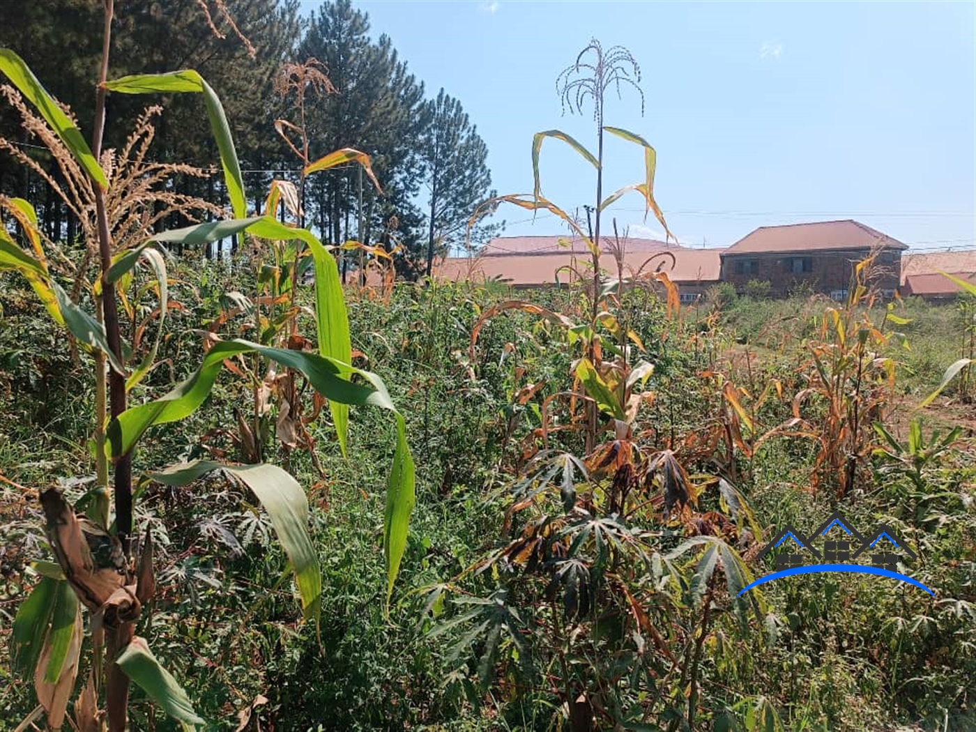 Commercial Land for sale in Namugongo Kampala