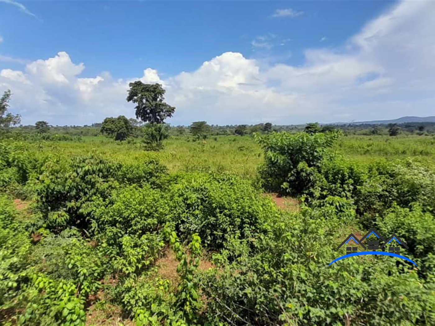 Agricultural Land for sale in Nambeere Luweero