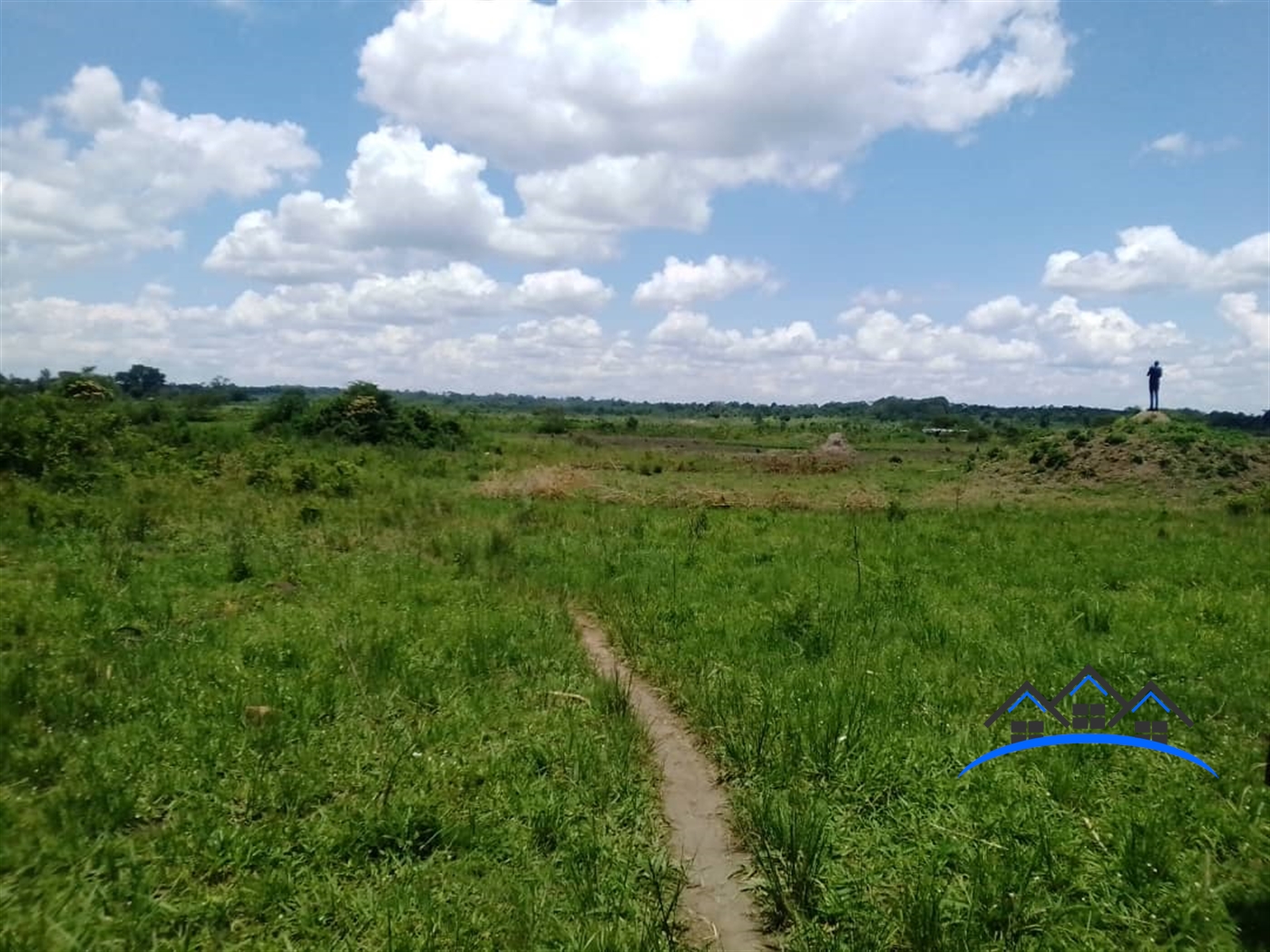 Agricultural Land for sale in Bugerere Wakiso