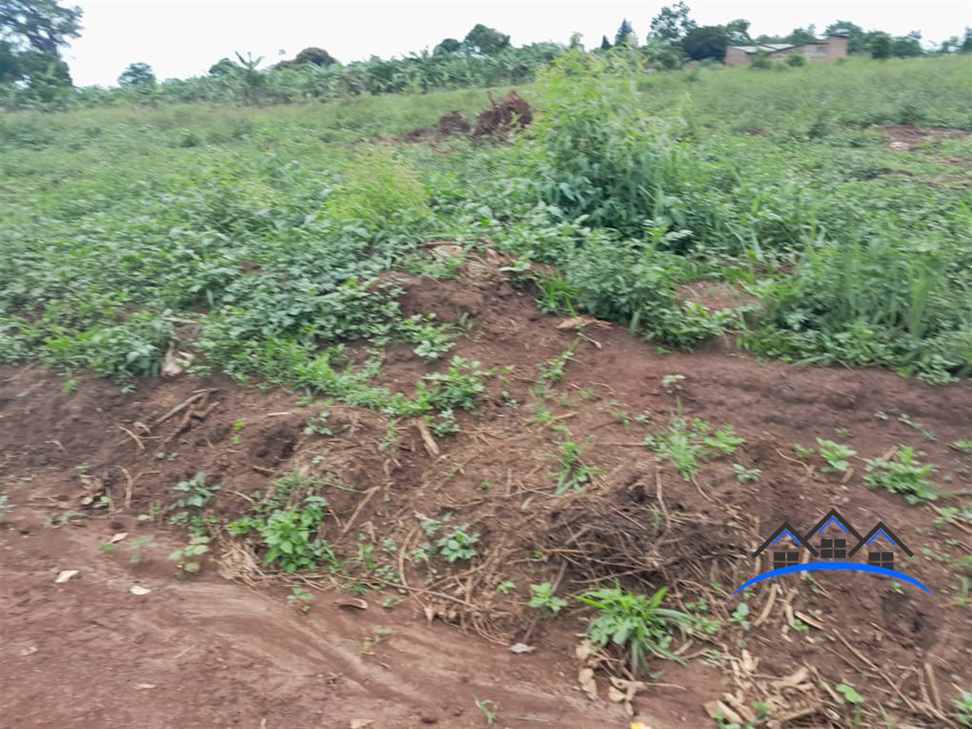 Commercial Land for sale in Busiika Mukono
