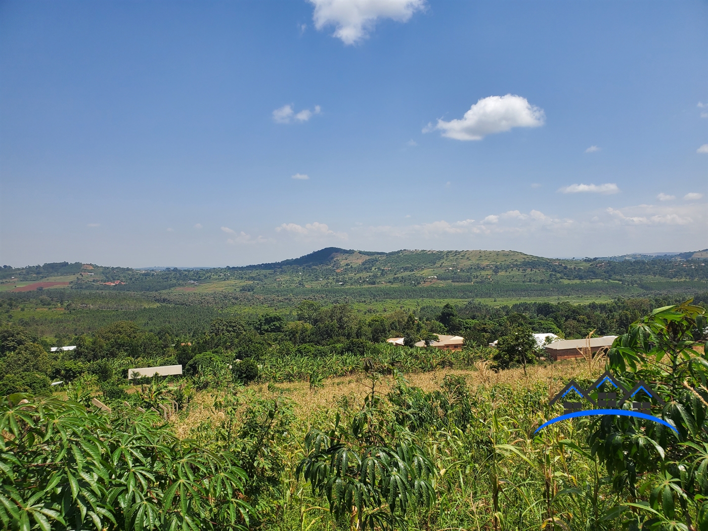 Agricultural Land for sale in Jjunju Wakiso