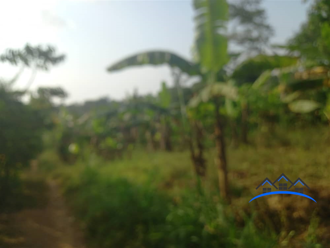 Agricultural Land for sale in Gombe Butambala