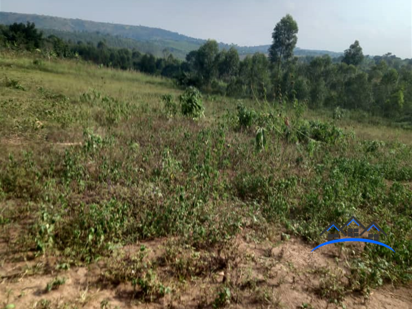 Commercial Land for sale in Kigombe Butambala