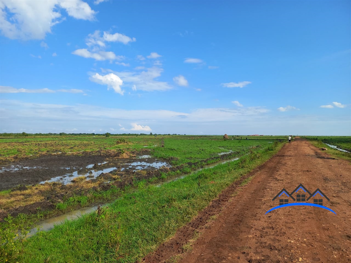 Agricultural Land for sale in Bulambuuli Mbaale