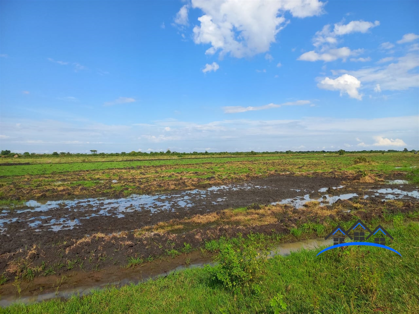 Agricultural Land for sale in Bulambuuli Mbaale