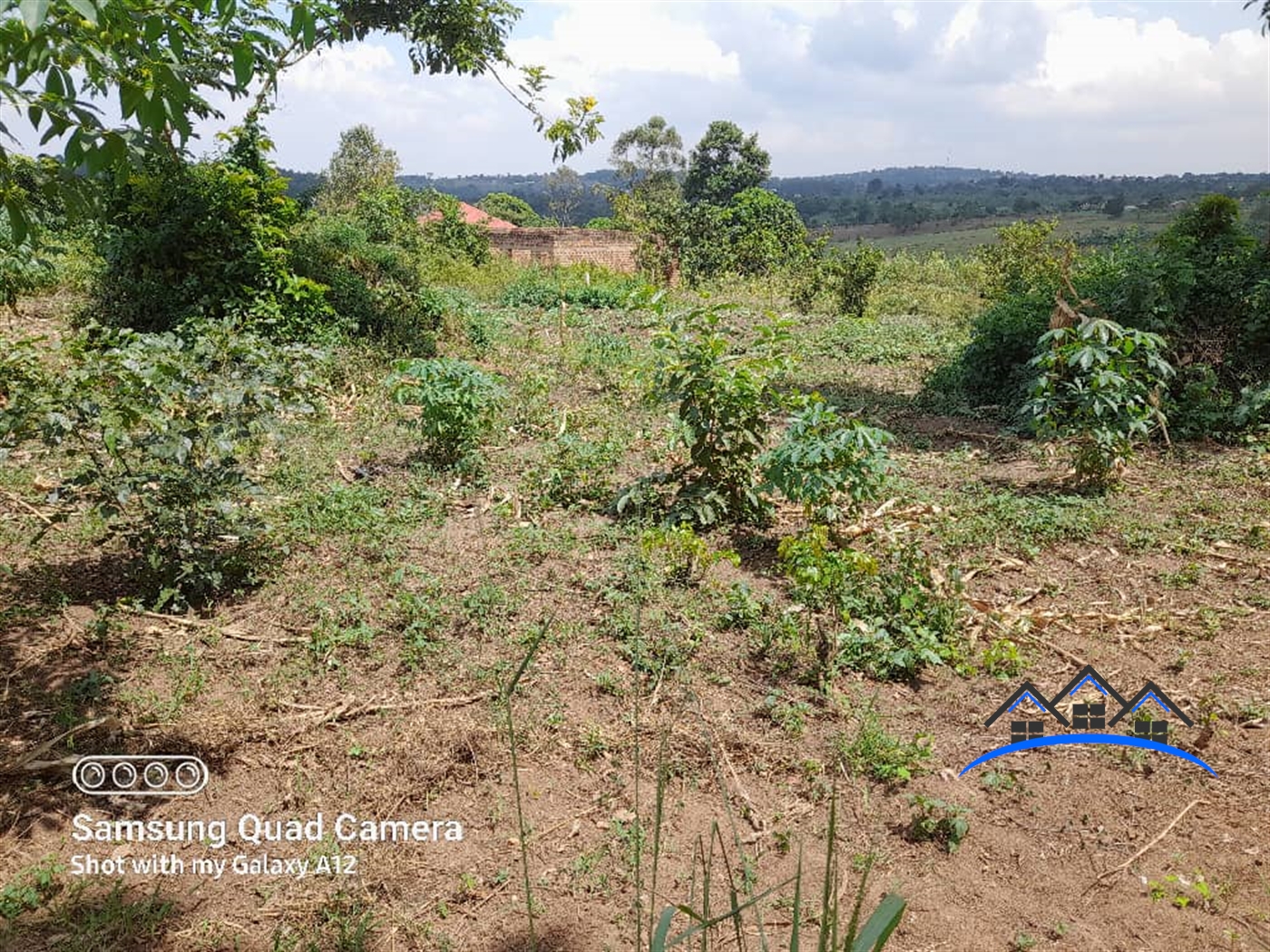 Agricultural Land for sale in Kiwenda Kayunga