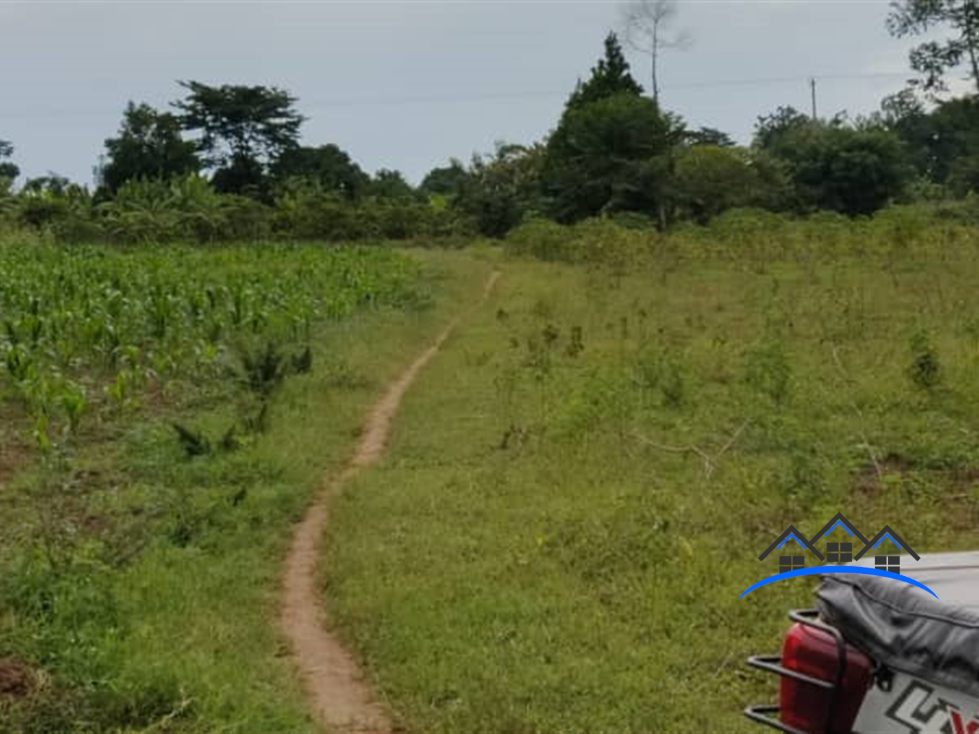 Agricultural Land for sale in Mbale Namutumba