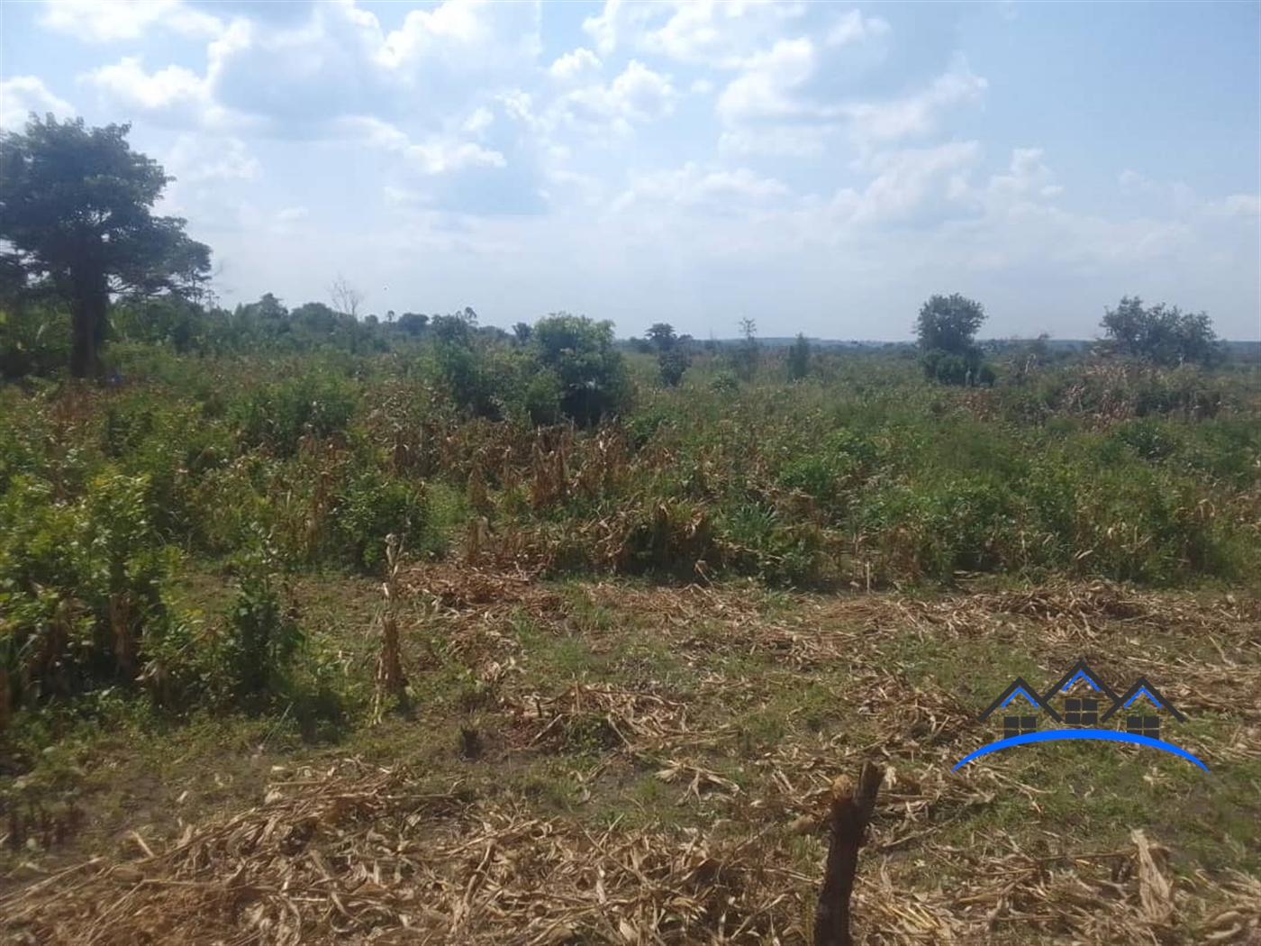 Farm for sale in Kasana Luweero