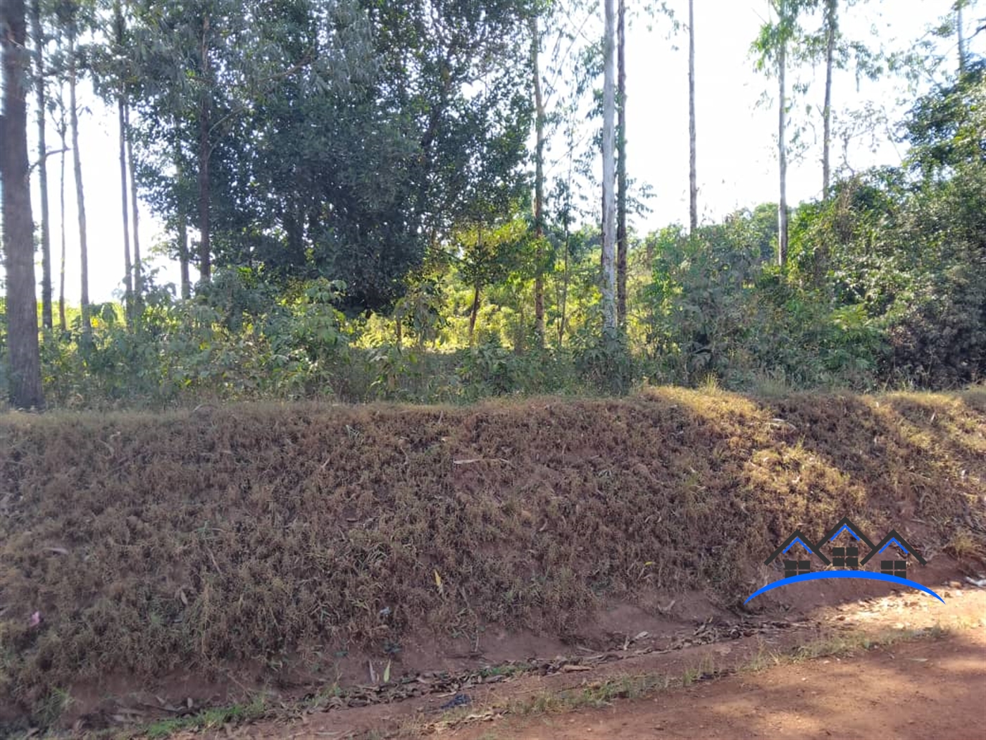 Agricultural Land for sale in Kalagaalo Mityana