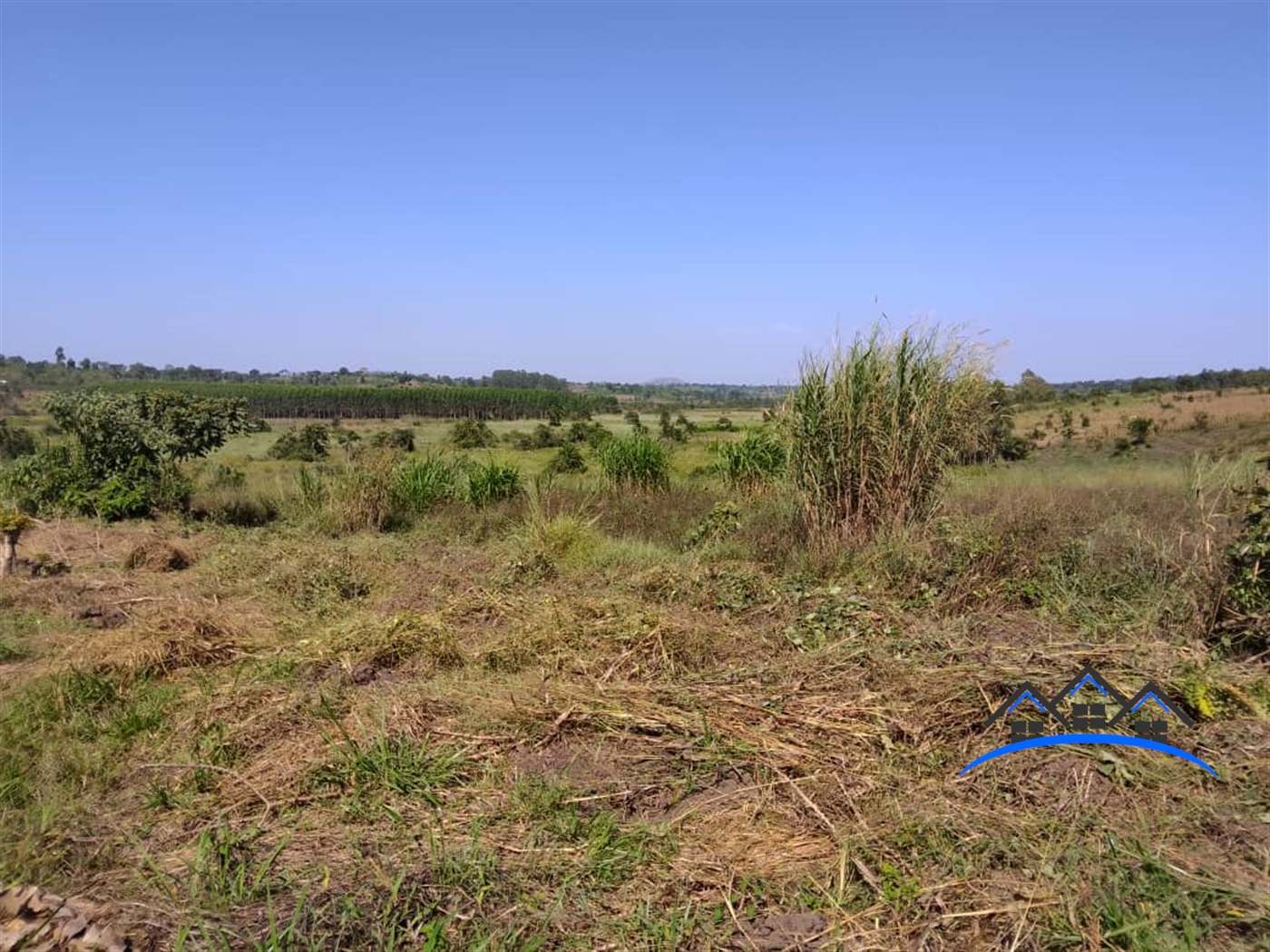 Agricultural Land for sale in Kalagaalo Mityana