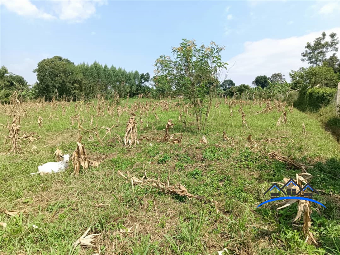Residential Land for sale in Kasayi Wakiso