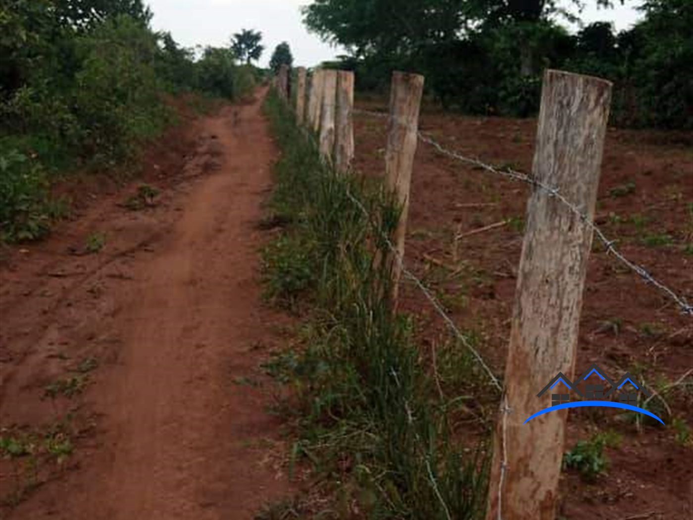 Agricultural Land for sale in Kakoonge Luweero