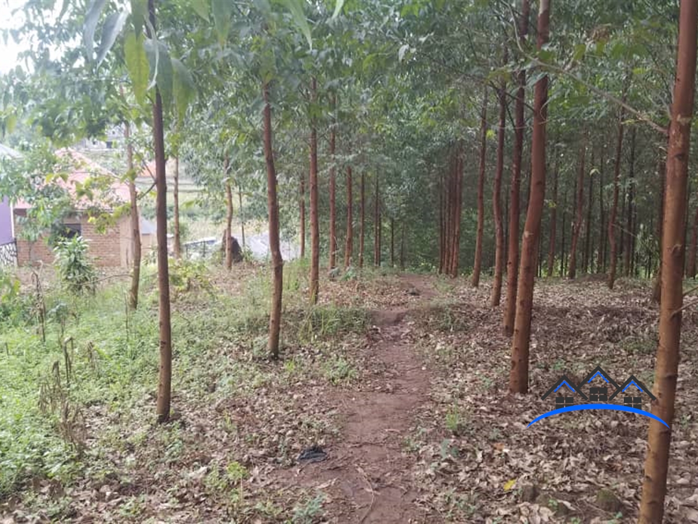 Agricultural Land for sale in Namagoma Wakiso
