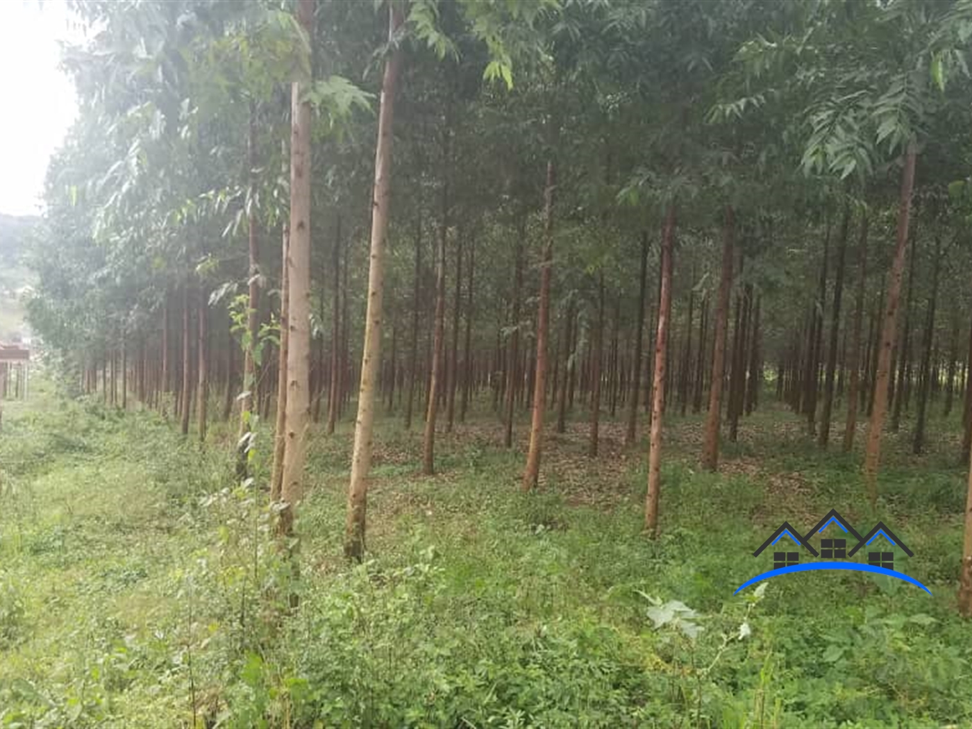 Agricultural Land for sale in Namagoma Wakiso