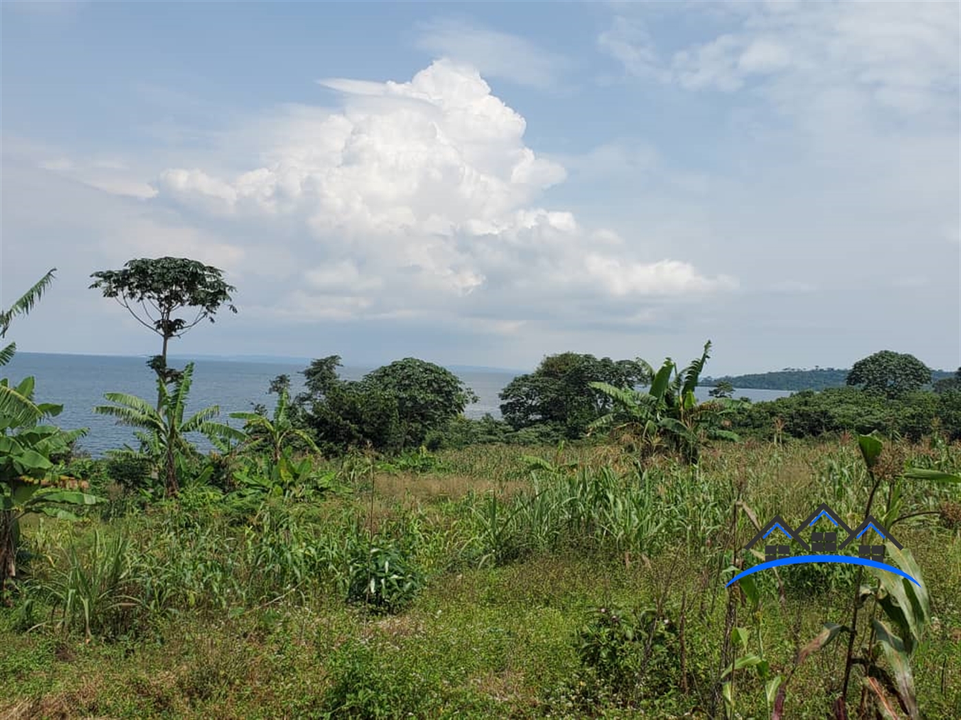 Residential Land for sale in Bukunja Buyikwe