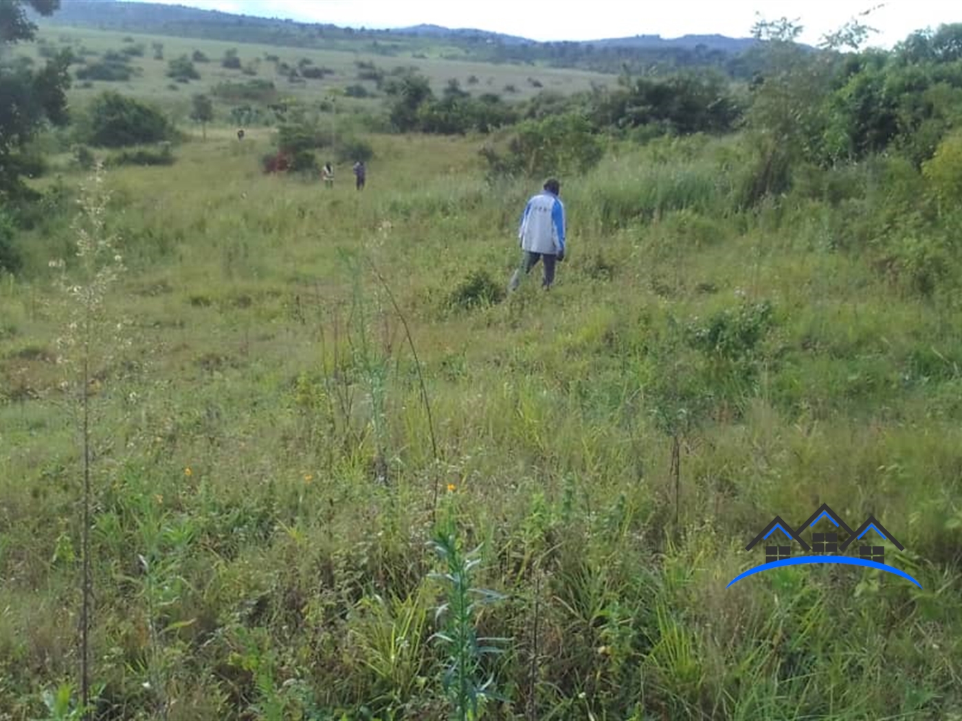Commercial Land for sale in Buwama Mpigi