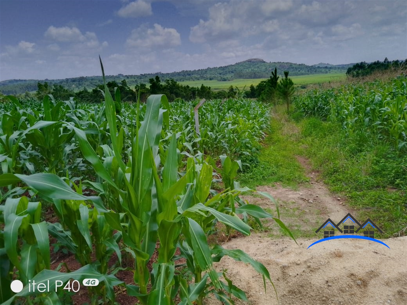 Agricultural Land for sale in Kajawo Mukono