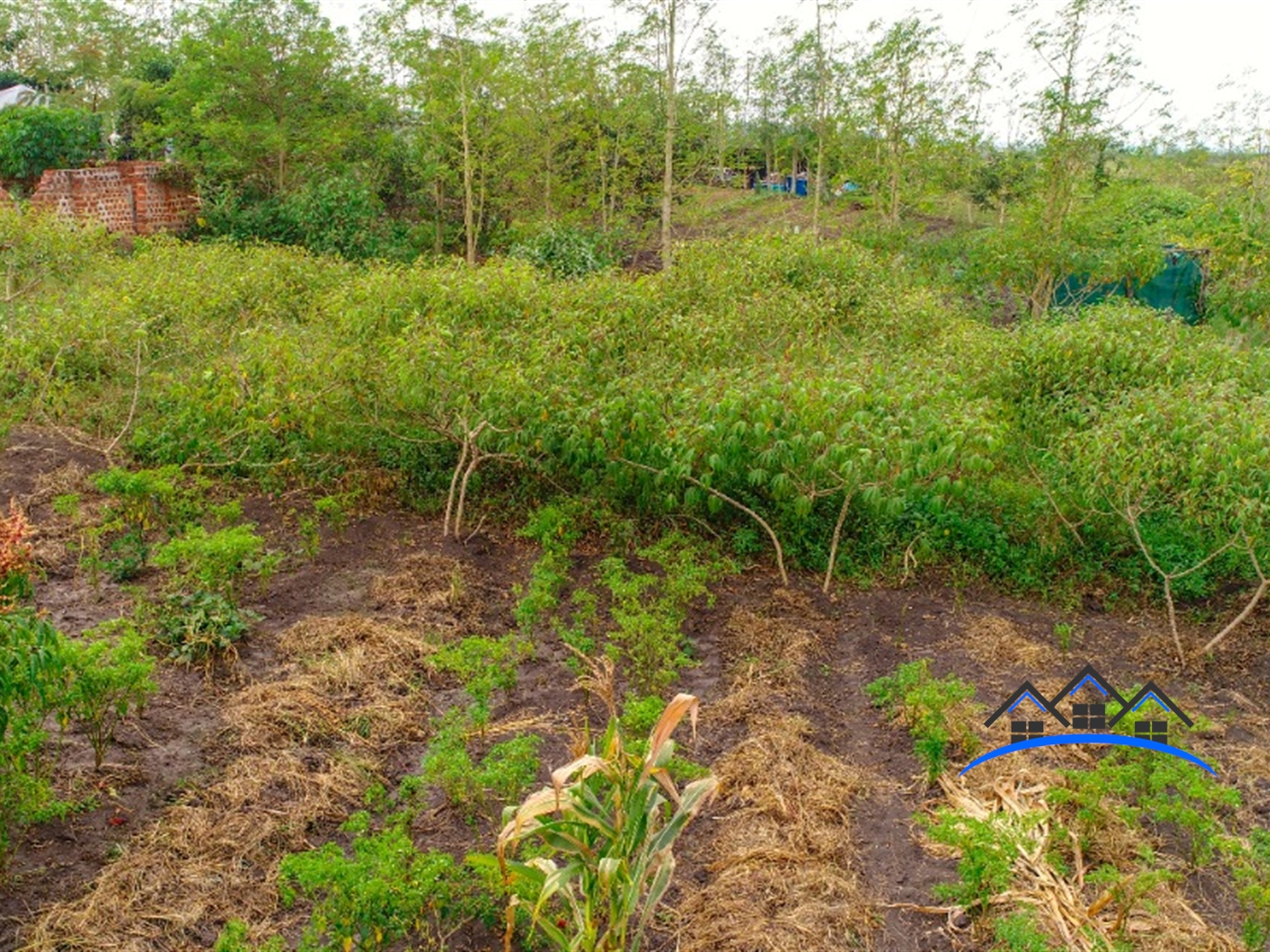Agricultural Land for sale in Kapeeka Wakiso