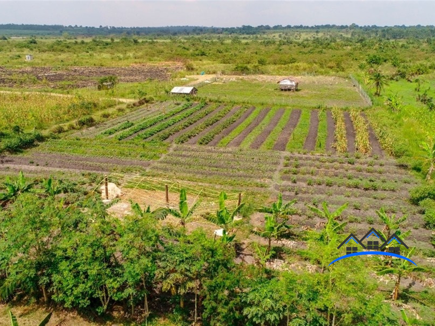 Agricultural Land for sale in Kapeeka Wakiso