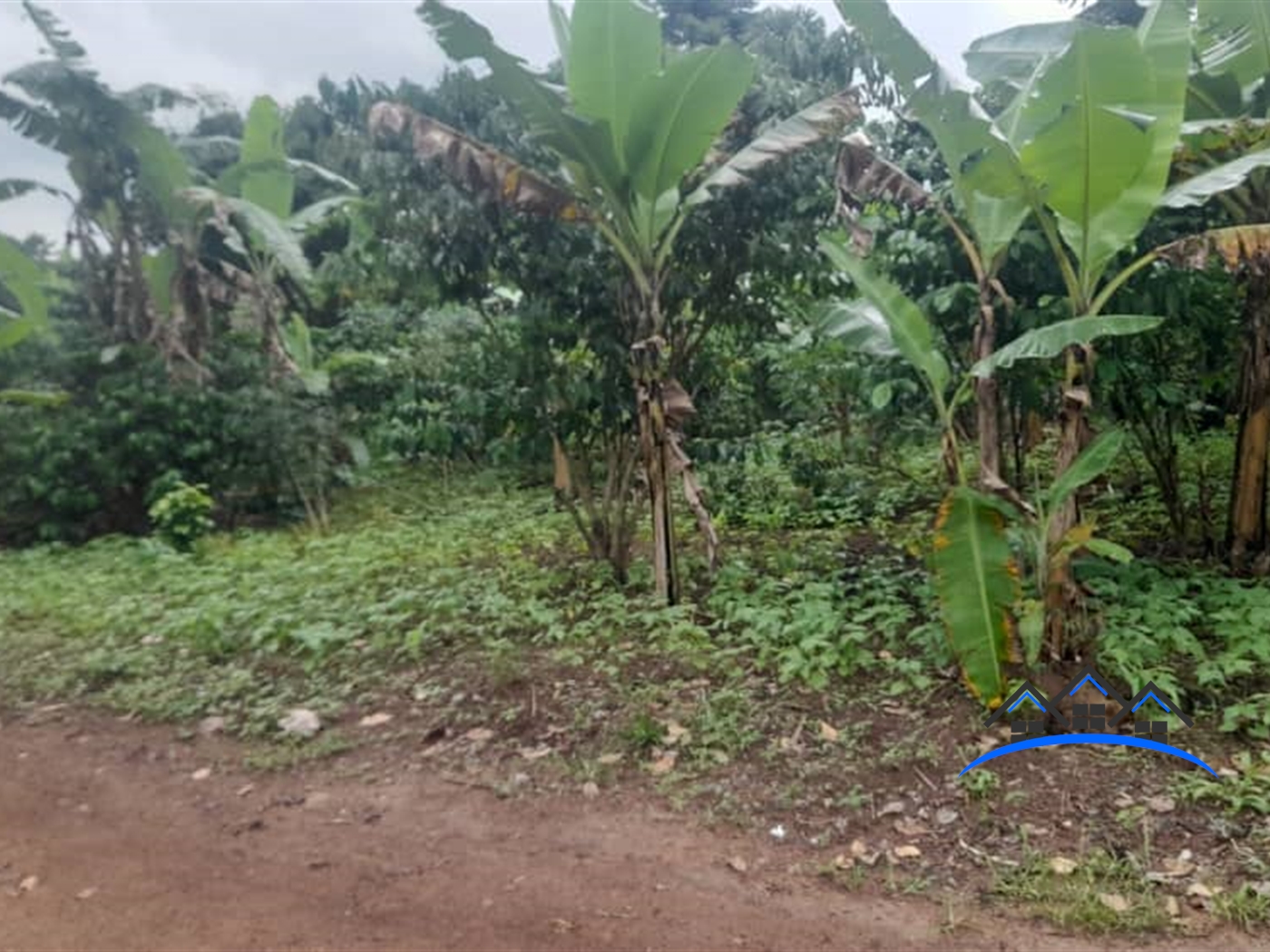 Agricultural Land for sale in Kyambogo Kampala