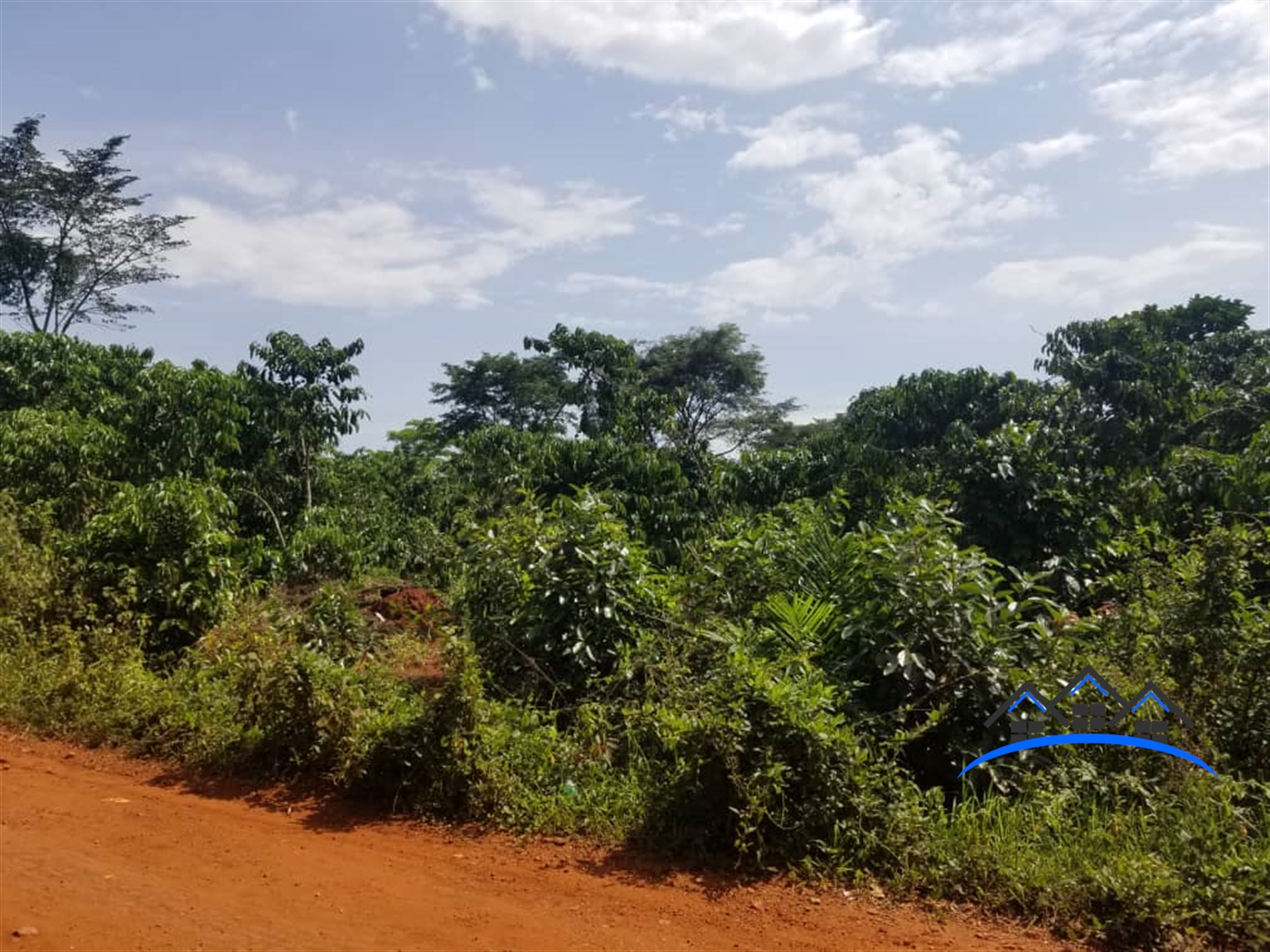 Agricultural Land for sale in Bamunaanika Luweero